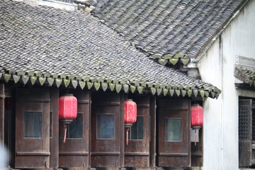 IMG_7110