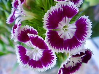 E486BD96-4F80-41CA-A5DC-BA519833E206/L0/001