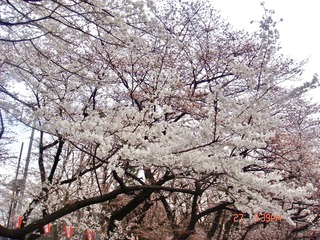 2F40722C-F1F8-4A3B-B1F3-7BA4D03795E9/L0/001