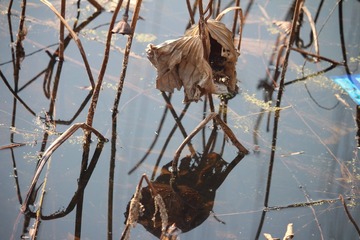 IMG_9539