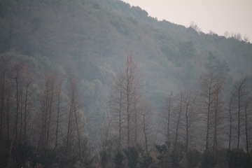 IMG_9782