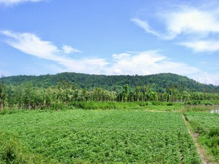 1C151372-C40B-4244-9E9C-57CD0DAF81EA/L0/001