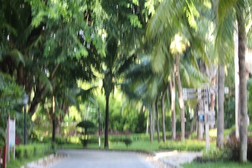 IMG_8470