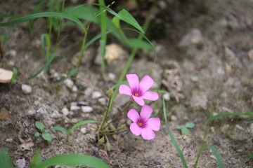 IMG_6157