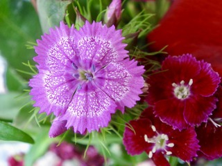 CF4B92CB-9A0D-4E75-B65A-9EA6512749D0/L0/001