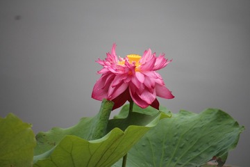 5C3AD0EA-1F62-4A86-9F7E-E176B0094F99/L0/001