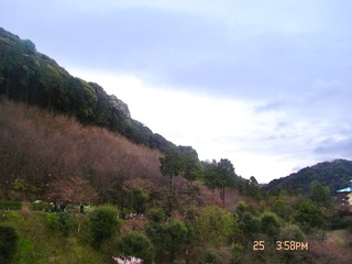 778A81C1-5070-4FB0-B7B5-62EF989398D0/L0/001