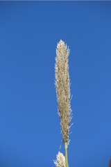 IMG_9405