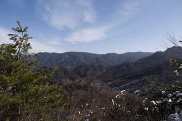 6247211