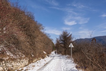 6247210