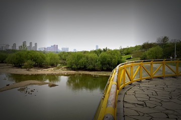 4008377