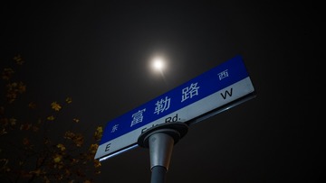 88017