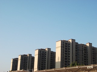219905