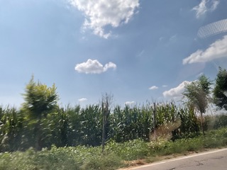 709A717C-1AB7-4DAC-850B-A57E2BD49D56/L0/001
