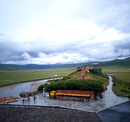 56102