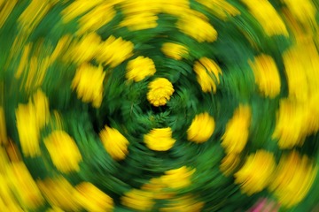 2CAA21B6-0E90-471C-BB2D-63F6F3E2C6CF/L0/001