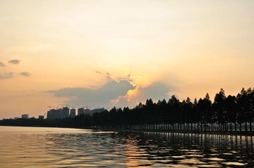 _DSC0420.jpg