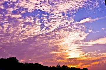 _DSC0528.jpg