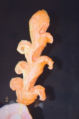 4F90E2C9-B4D2-45CE-AA39-23E64E466304/L0/001