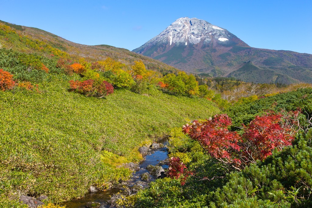 充满秋色的罗臼岳（Rausudake），被誉为知床富士，海拔1660米。这一带的山间溪流平均海拔在700米左右，由于风大寒冷的关系，这里的植物呈现出了明显的垂直分布特征；耐寒的花楸、岳桦、偃松、苔藓和一些珍稀的知床半岛的高山植物都出现在这一张照片中。