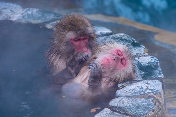 _MG_5409.jpg