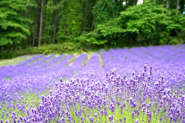 IMG_4719.jpg