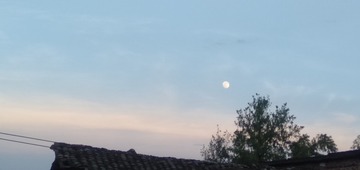 1392272