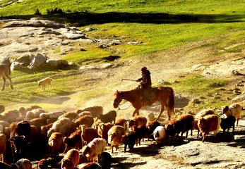 JPG_4523