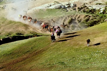 JPG_5017