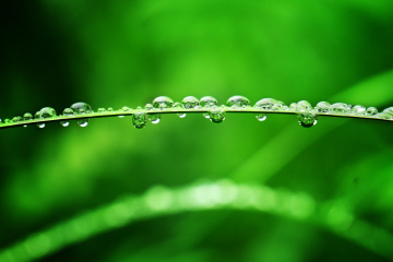 雨珠