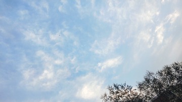 5468273