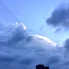 39215C5F-3566-4045-9490-97B9F7D43EE4/L0/001