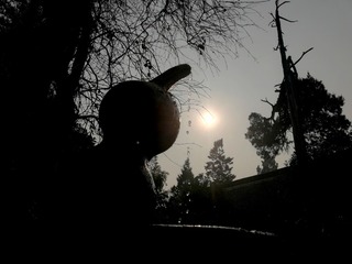 880507