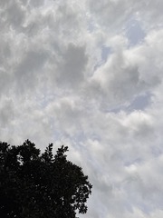 D7A94074-C05E-4D98-931D-6021789072FD/L0/001