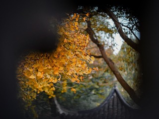 090FDD0F-EC81-40C7-BDCC-13D7687A95A0/L0/001