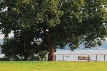 C8DA1C04-8F54-4EBD-B109-51D2ADADB0AB/L0/001