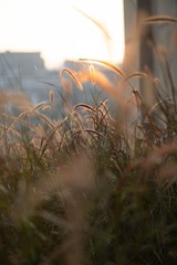02816D97-A67B-4888-8EE3-9C388D58DB7F/L0/001
