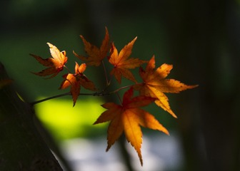 7DE176C6-AB7C-4936-AF41-F1FCA437B570/L0/001