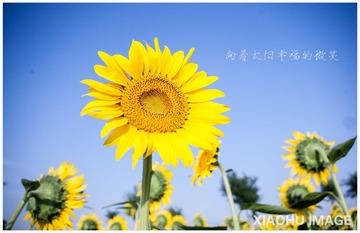 _MG_9418_副