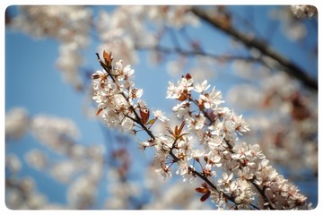 C9512195-B857-480D-89D9-ACE3A8B79E11/L0/001