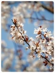 246E9793-A6FA-4C7B-9291-3F0CECB55658/L0/001