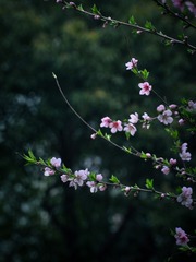 5AE37ED4-10B8-4402-A401-A1E769DF2B56/L0/001