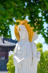 F658EC91-854A-440C-8754-DD597A7B8C00/L0/001