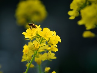 A3EE7FB9-59F9-4577-8C60-0EFABAE42CE7/L0/001