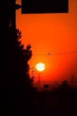 E38E68F8-0A63-4EAC-8623-B6F87122E565/L0/001