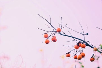98F4F845-556E-45DA-BBCC-188A6E60C63F/L0/001