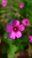 57D70983-DFDB-4FAE-97D3-BBE4432980DA/L0/001