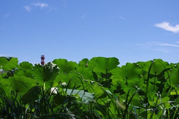 IMGP0119.JPG