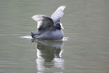 DSCF3695_