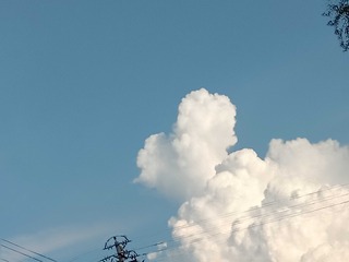 9355